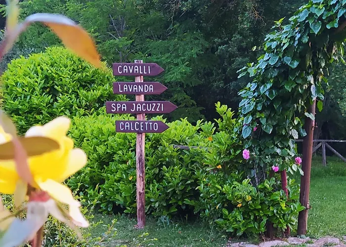 Agriturismo Podere Poggiarone Rapolano Terme